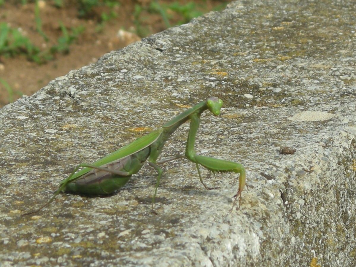 Kroatien